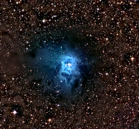 The Iris Nebula