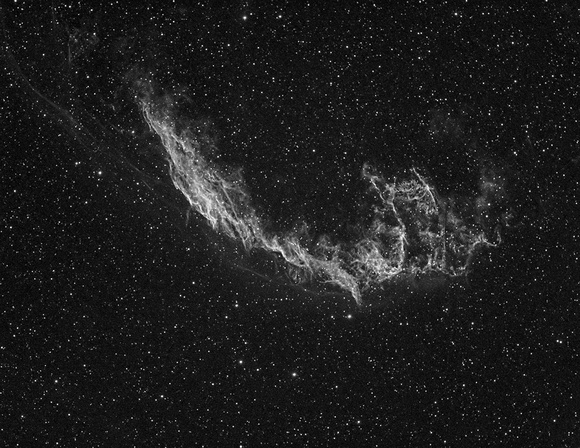 The Eastern Veil Nebula