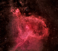 The Heart Nebula