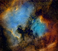 The North America and Pelican Nebulae