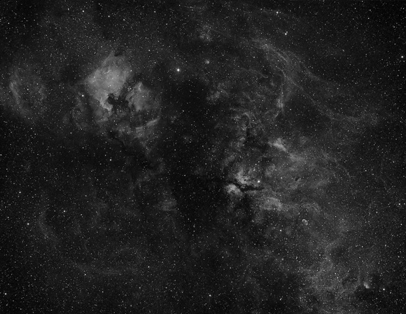 A Slice of Cygnus