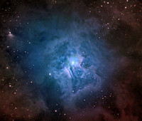 The Iris Nebula