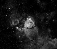 IC 1795 - The Fishhead Nebula