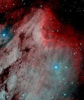 The Pelican Nebula