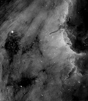 The Pelican Nebula