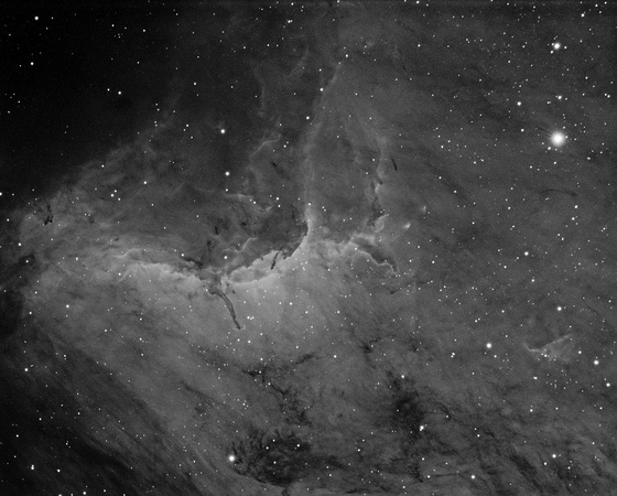 The Pelican Nebula