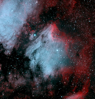 The Pelican Nebula