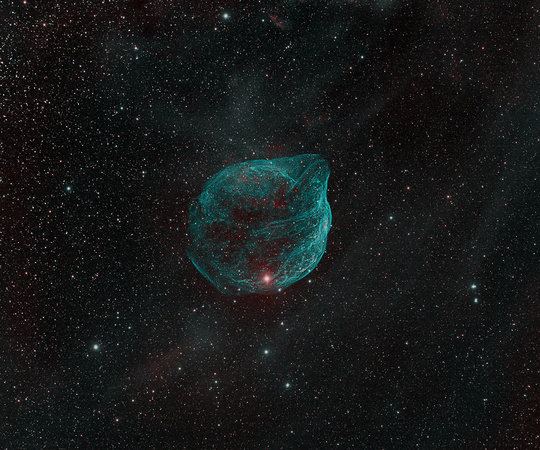 RCW 11-The Dolphin Nebula