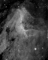 The Pelican Nebula