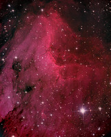 The Pelican Nebula