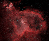 The Heart Nebula