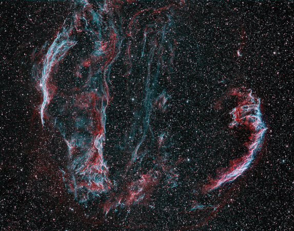 The Cygnus Loop