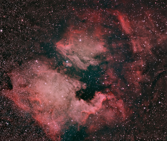 The Pelican and North America Nebulae