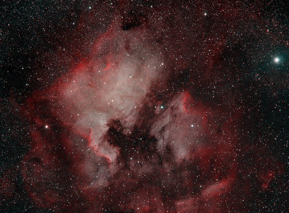 The North America and Pelican Nebulae