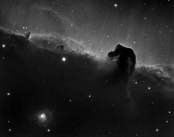 The Horsehead Nebula