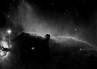 The Horsehead Nebula