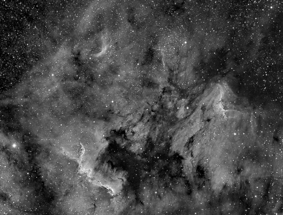 The North America and Pelican Nebulae