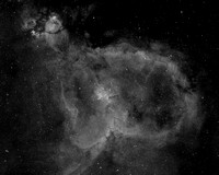 The Heart Nebula