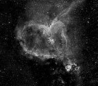 The Heart Nebula