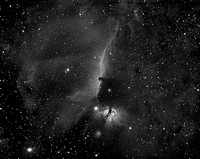 The Horsehead Nebula