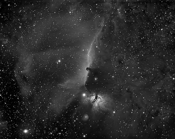 The Horsehead Nebula