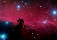 The Horsehead Nebula