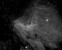 The Pelican Nebula