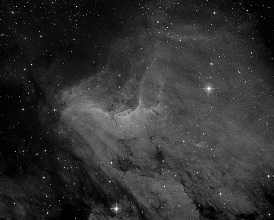 The Pelican Nebula