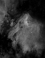 The Pelican Nebula