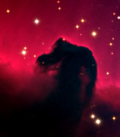 The Horsehead Nebula