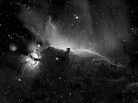 The Horsehead Nebula