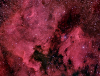 The Pelican and North America Nebulae