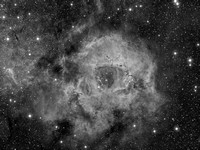 The Rosette Nebula