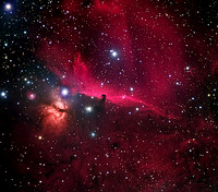 The Horsehead Nebula