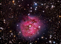 The Cocoon Nebula