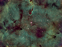 IC 1396