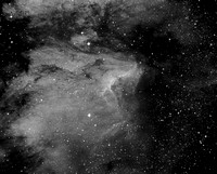 The Pelican Nebula