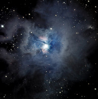 Iris Nebula