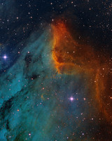 The Pelican Nebula