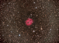 The Cocoon Nebula