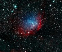 The Tulip Nebula