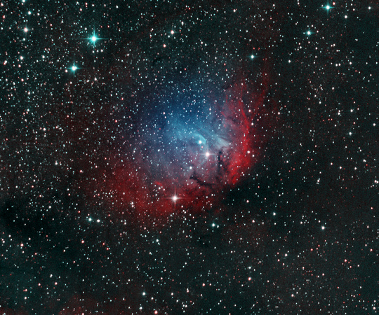 The Tulip Nebula