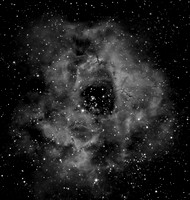 A Mosaic of the Rosette Nebula