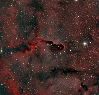 The Elephant Trunk Nebula